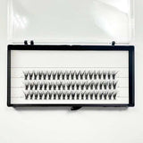 Cluster volume lash 10D 20D 30D