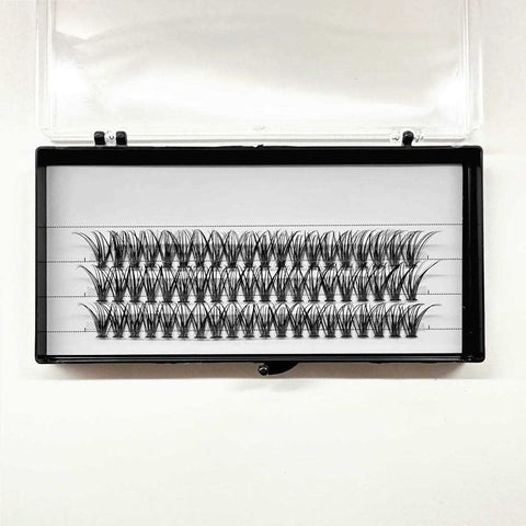 Cluster volume lash 10D 20D 30D