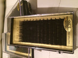 Individual Eyelash Extension , 0.20 D curl, slik eyelash extension